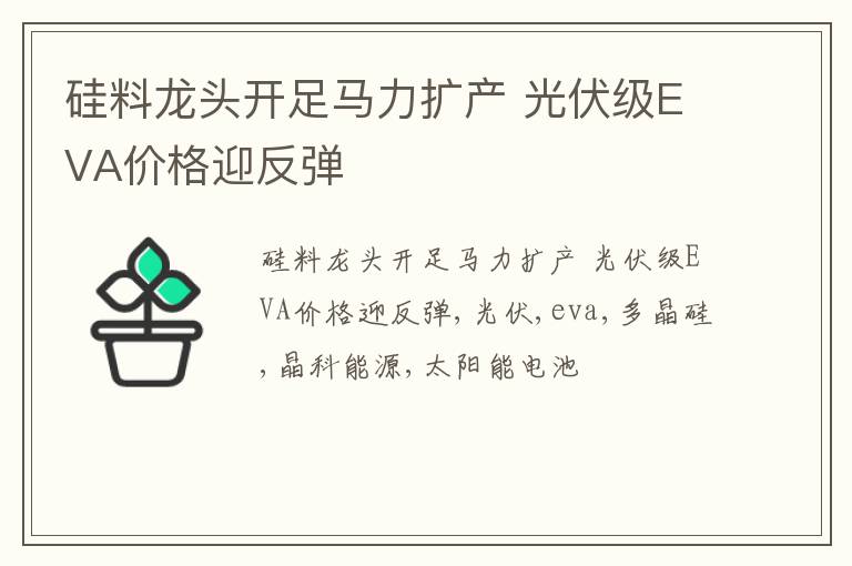 硅料龙头开足马力扩产 光伏级EVA价格迎反弹