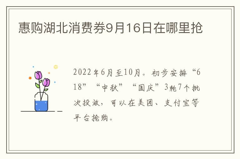 惠购湖北消费券9月16日在哪里抢