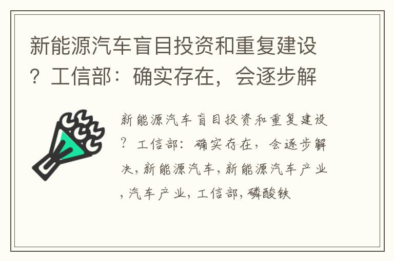 新能源汽车盲目投资和重复建设？工信部：确实存在，会逐步解决