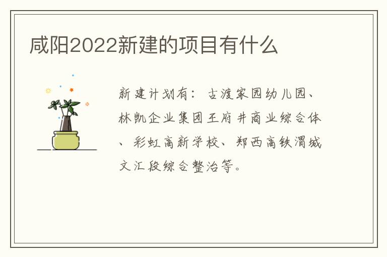 咸阳2022新建的项目有什么