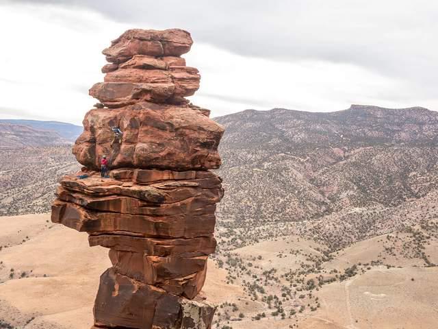 Sea 管理层主动停薪