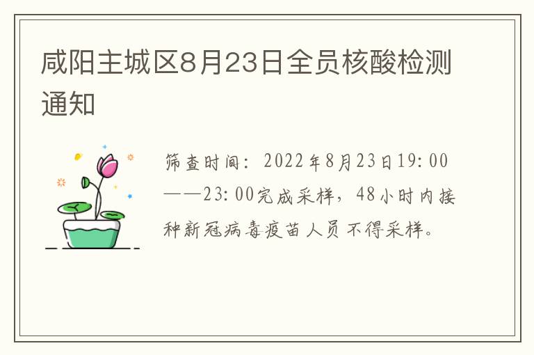 咸阳主城区8月23日全员核酸检测通知