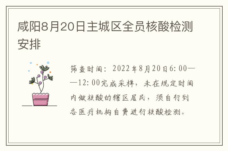 咸阳8月20日主城区全员核酸检测安排