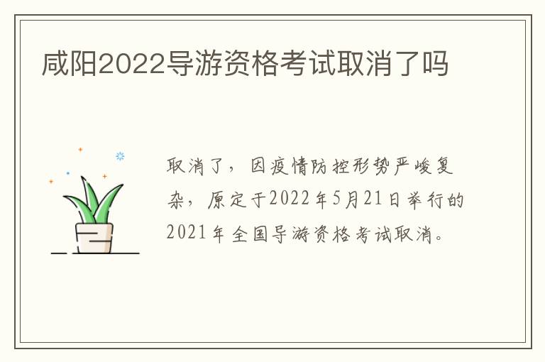 咸阳2022导游资格考试取消了吗