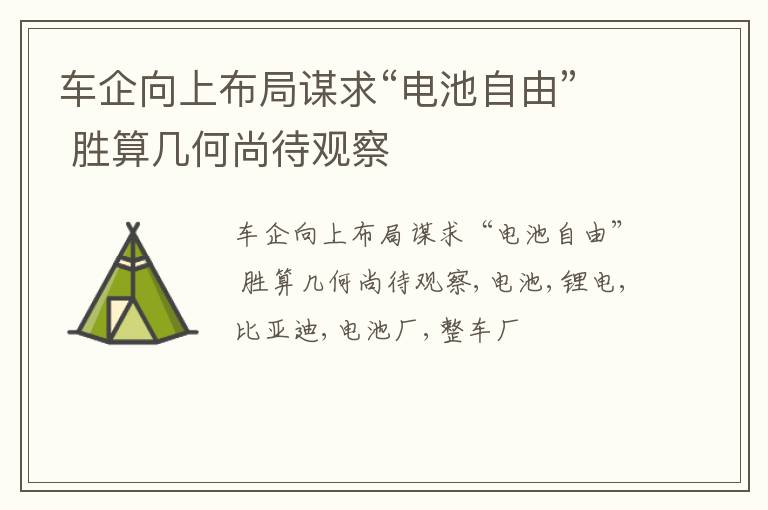 车企向上布局谋求“电池自由” 胜算几何尚待观察