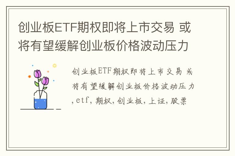 创业板ETF期权即将上市交易 或将有望缓解创业板价格波动压力