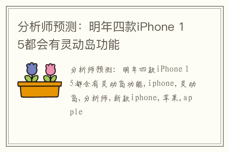 分析师预测：明年四款iPhone 15都会有灵动岛功能