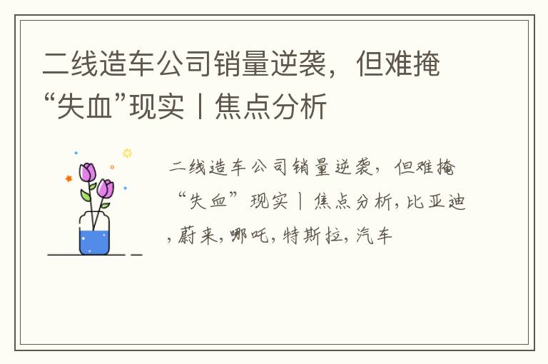 二线造车公司销量逆袭，但难掩“失血”现实丨焦点分析