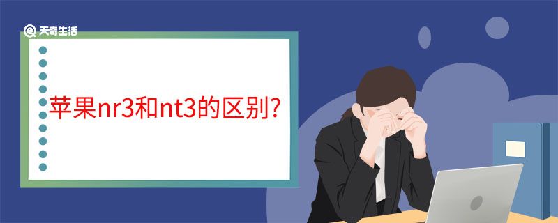 苹果nr3和nt3的区别?