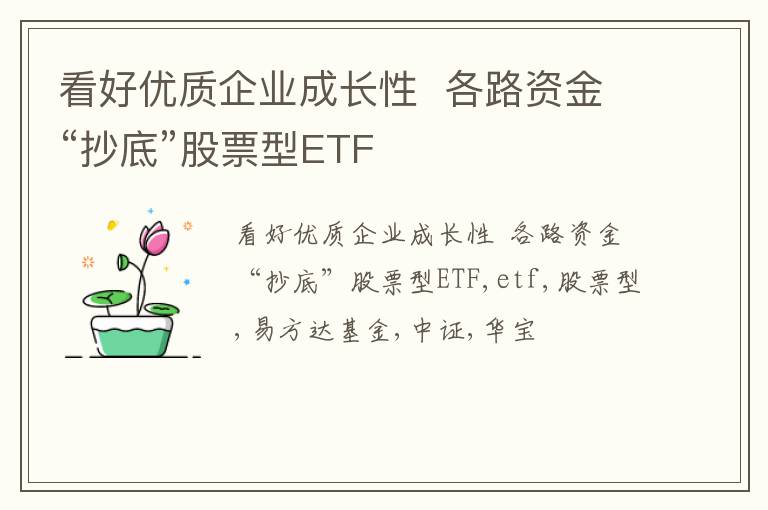 看好优质企业成长性  各路资金“抄底”股票型ETF