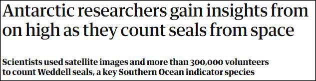 33万人帮科学家数南极海豹
