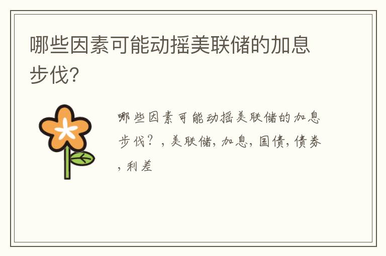 哪些因素可能动摇美联储的加息步伐？