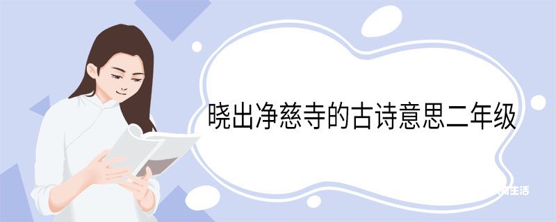 晓出净慈寺的古诗意思二年级