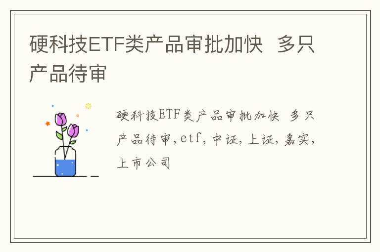 硬科技ETF类产品审批加快  多只产品待审