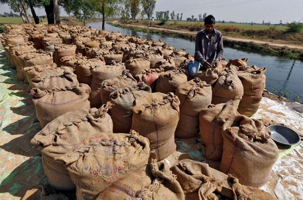 致百万吨粮食滞留港口后，印度碎米出口禁令延期执行