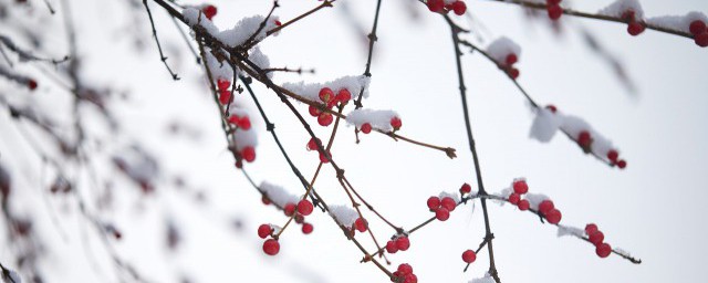 湖南会下雪吗 湖南会不会下雪