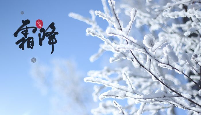 霜降节气吃什么养生