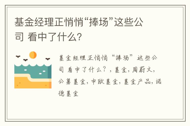 基金经理正悄悄“捧场”这些公司 看中了什么？