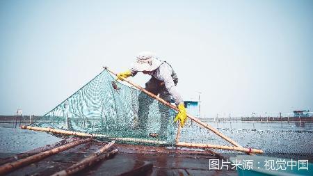 阳澄湖大闸蟹姗姗来迟难再独秀