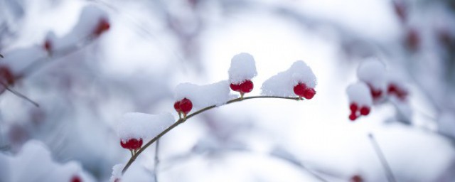 著名冰雪旅游项目有哪些 有哪些著名冰雪旅游项目