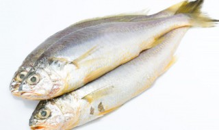 鱼不能和什么水果一起吃 鱼不能和哪些水果一起吃