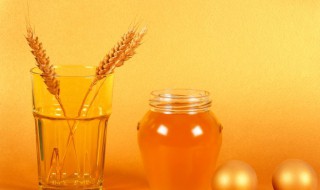 蜂蜜不能和什么吃 蜂蜜不可以和什么吃