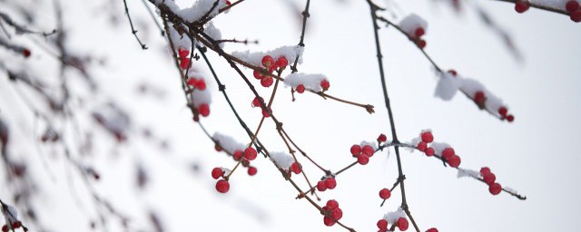 小雪是哪一天 什么时候是小雪