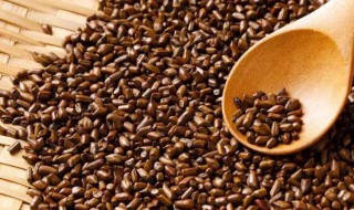 决明子不能和什么一起吃 决明子相克的食物