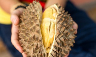 榴莲不能和什么吃 榴莲不能和哪些食物一起吃