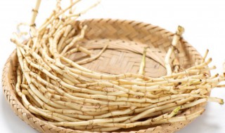 折耳根有什么功效 折耳根的功效与作用介绍