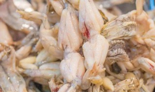 田鸡不能和什么一起吃 田鸡不可以和什么一起吃