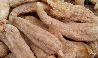 天麻的功效是什么 天麻功效主治是什么