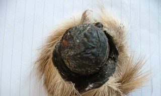 麝香有什么功效 麝香有哪些功效