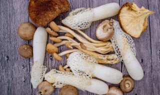 香菇不能和什么吃 香菇不能和什么一起吃