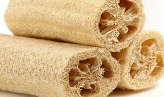 丝瓜络有什么功效 丝瓜络的功效介绍