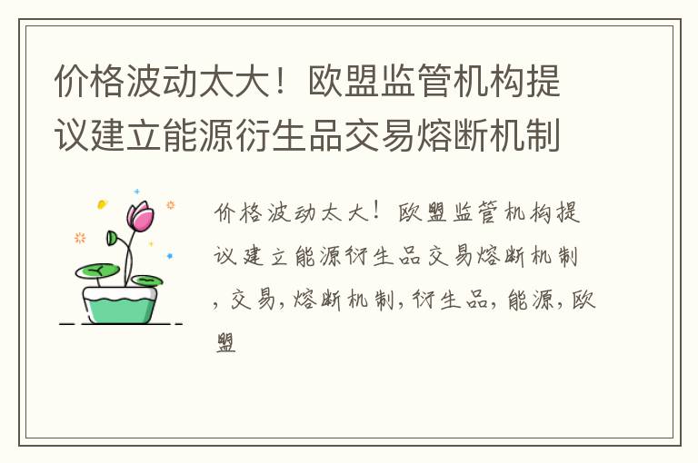 价格波动太大！欧盟监管机构提议建立能源衍生品交易熔断机制