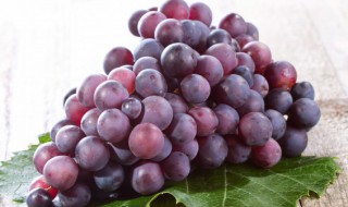 葡葡不能和什么一起吃 葡葡不能和哪些食物一起吃