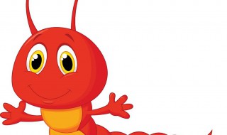 蜈蚣有什么功效 蜈蚣功效有什么