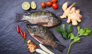 鲫鱼不能和什么吃 鲫鱼不可以和什么一起吃