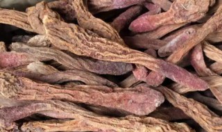 锁阳有什么功效 锁阳有哪些功效