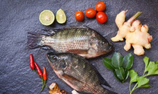 鱼肉不能和什么一起吃 鱼不能与什么同吃