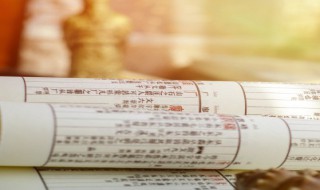 菟丝子有什么功效 菟丝子的作用介绍