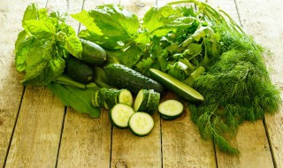 野菜有什么功效 野菜有何功效