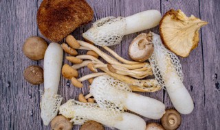 菌不能和什么一起吃 吃菌不能吃什么食物