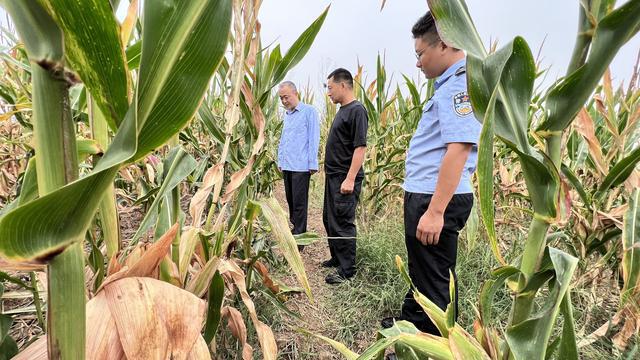 一岁男童玉米地里失踪，上百警民彻夜搜寻36小时找回