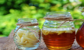 蒜不能和什么一起吃 蒜不能同食的食物