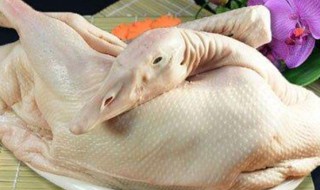 鹅不能和什么同食 鹅肉不能和什么一起吃
