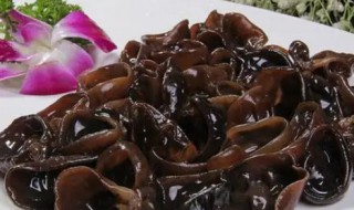 木耳不能和什么吃 木耳不能和哪些食物一起吃