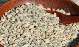 青稞有什么功效 青稞的功效分享