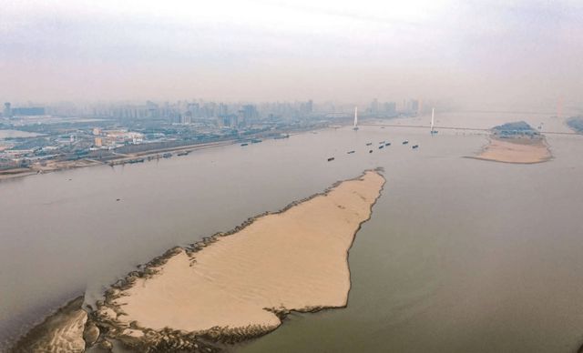 长江流域旱情持续！野外灭绝的长江鲟又在重庆出现，到底灭绝没？